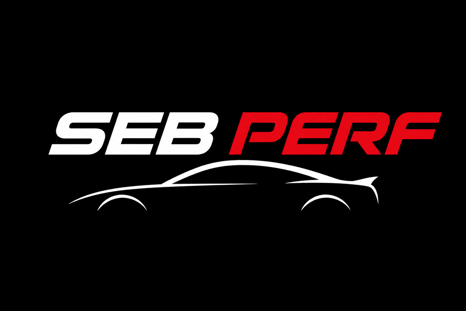 SEB PERF